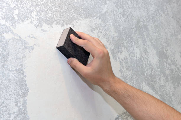 Best Comprehensive Air Testing for Mold Contaminants  in Sherwood, WI