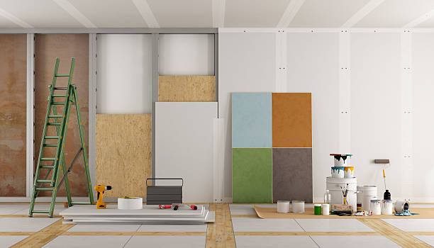 Best Basement Mold Removal  in Sherwood, WI